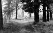 �ernob�l� pap�ry - pro jak� se rozhodnout