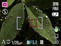 LCD