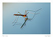 17. FotoV�stava - Petr Bambousek