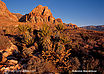 Arizona, Nevada: kde sv�tlo �aruje