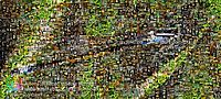 Artensoft Photo Mosaic Wizard