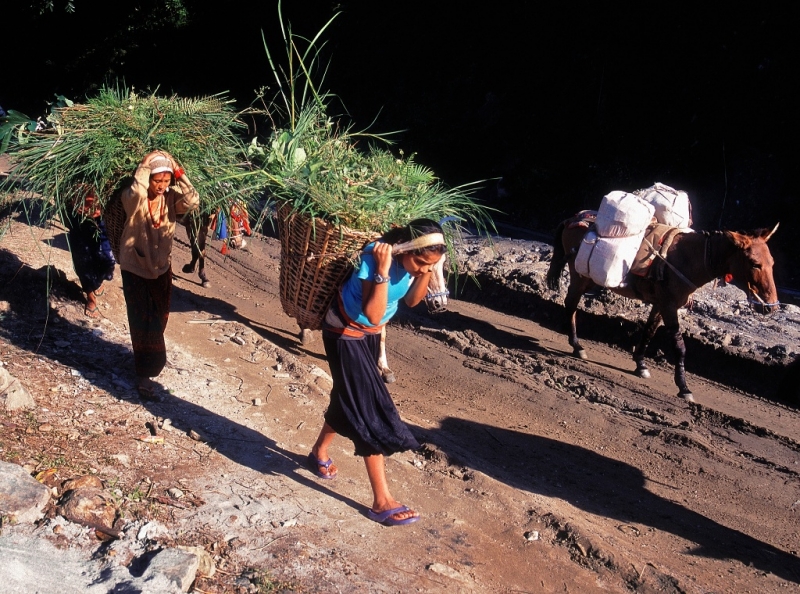 Foto 3: Nepálské ženy v údolí pod Anapurnami nesou trávu pro domácí zvířata.