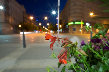 nikon-20-mm-hvezda.jpg | (c) Jan Pánek foceno objektivem: Nikon 20mm f/1.8G