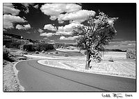 Obrázek 12 | Michal Kupsa Obrázek 12