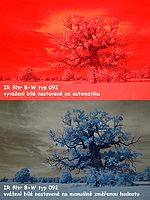 Obrázek 13 | Michal Kupsa Obrázek 13