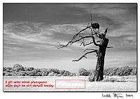 Obrázek 15 | Michal Kupsa Obrázek 15