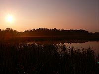 Protisvětlo | Petr Koritina Protisvětlo