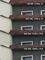 Šum | Petr Koritina Šum