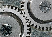 makrofotografie bez měřítka | © Luboš Wišniewski makrofotografie bez měřítka