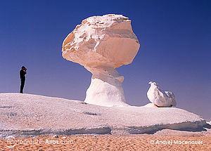 Houba a kuře, Bílá poušť, Egypt