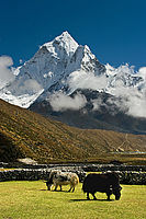 Ama Dablam