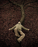 Stromová bytost | (c) Martin Kaša Stromová bytost