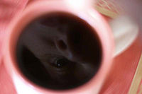 Až mě zítra ráno v 5 děti probudí .... | (c) Helena Zábranská Až mě zítra ráno v 5 děti probudí ....