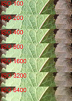 Obrázek č. 11 - Porovnání 100% výřezů při dostupných citlivostech ISO z denní fotografie