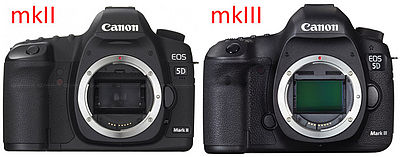 Canon EOS 5D Mark II vs. Mark III