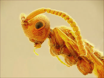 Zkušební skládaná fotografie. Bez větších sw úprav, na které bohužel nemám čas. | (c) Pavel Krásenský Zkušební skládaná fotografie. Bez větších sw úprav, na které bohužel nemám čas.