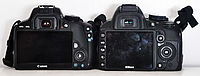 Canon EOS 100D vs. Nikon D3100