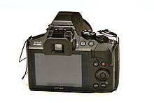 Zadní strana | © Petr Koritina Zadní strana