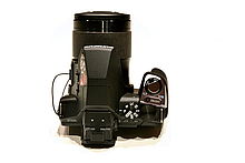 Horní strana | © Petr Koritina Horní strana