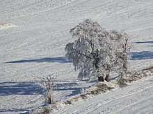 f=215.00 mm; F7.1, 1/850 s, ISO: 100 | © Petr Koritina f=215.00 mm; F7.1, 1/850 s, ISO: 100