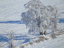 f=277.00 mm; F6.5, 1/400 s, ISO: 80 | © Petr Koritina f=277.00 mm; F6.5, 1/400 s, ISO: 80