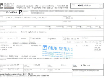 ELkový Canon EF 100-400/ 4,5-5,6 L IS USM