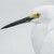 Volavka bělostná (Egretta thula)