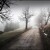 Mlhavá cesta