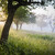 Ranné svetlo