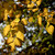 podzim ve žluté