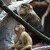 Nuda u makaků
