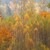 Podzim malířem