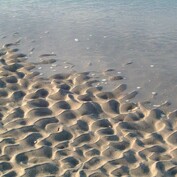 Písek a moře