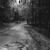 Road...