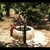 Monk By The Well