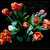 Tulipány