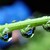 magic raindrops