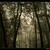 Shadow Of Darkness