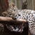 Zoo Jihlava