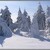Zima