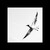 Seagull III.