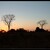 Zambia