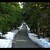 Cestička k domovu ...