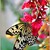Beauty of nature