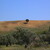 Sicilia