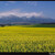 Tatry zdola