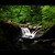 Birk's o' Aberfeldy
