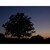 The Remains of the Day / Soumrak dne