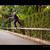 Boardslide