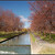 River Tolka Dublin